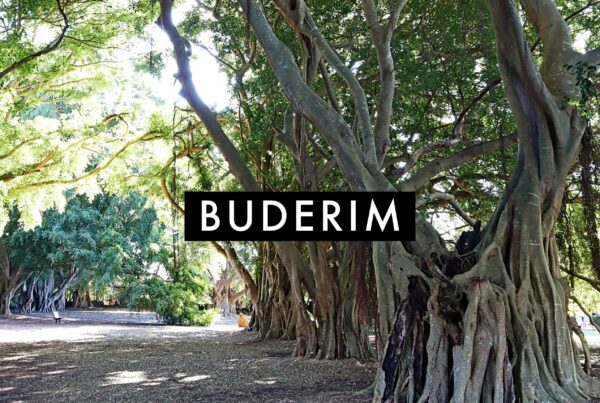 Buyers-Agent-Buderim-Sunshine-Coast