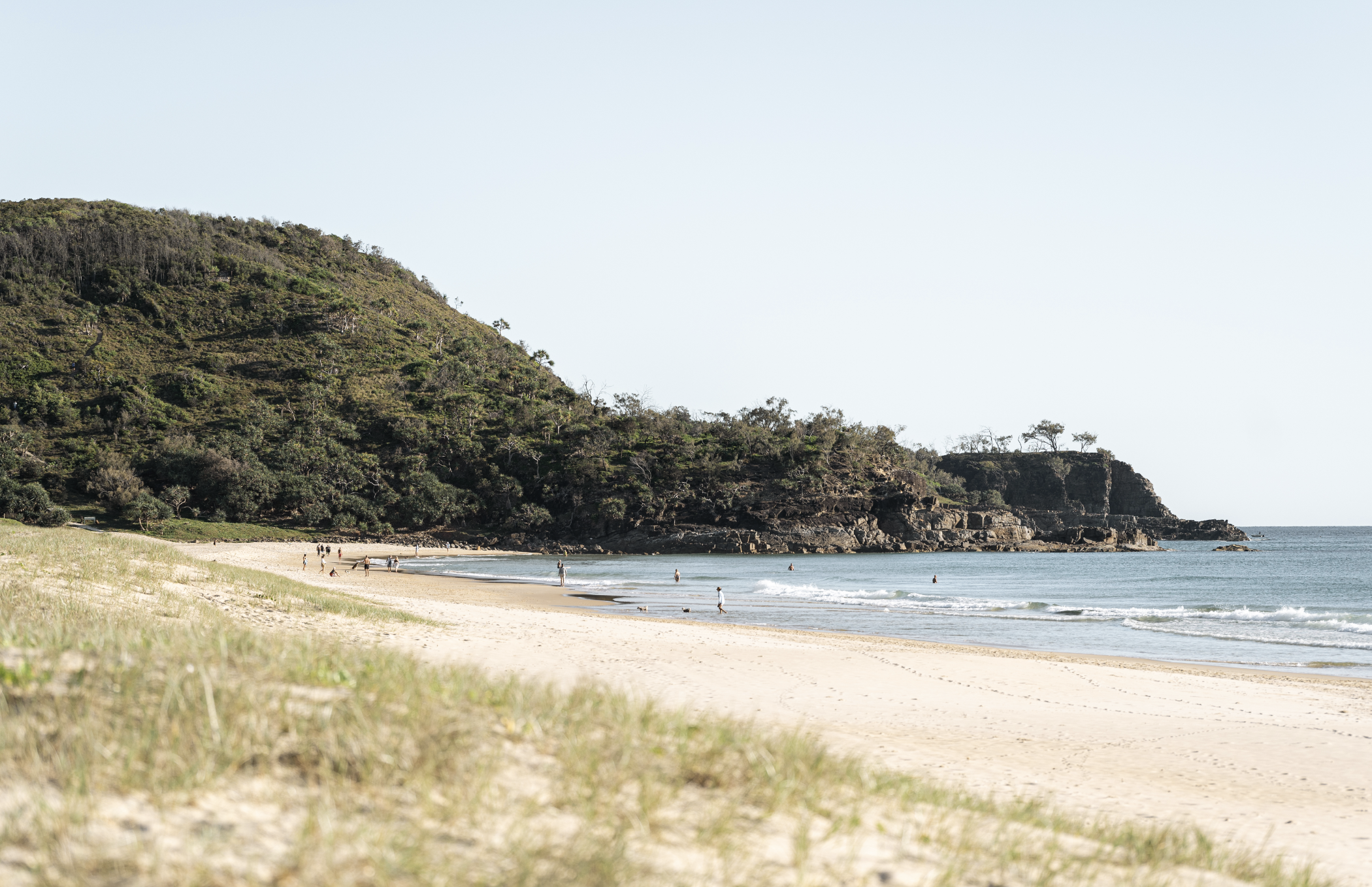 Sunshine Beach – Suburb in focus