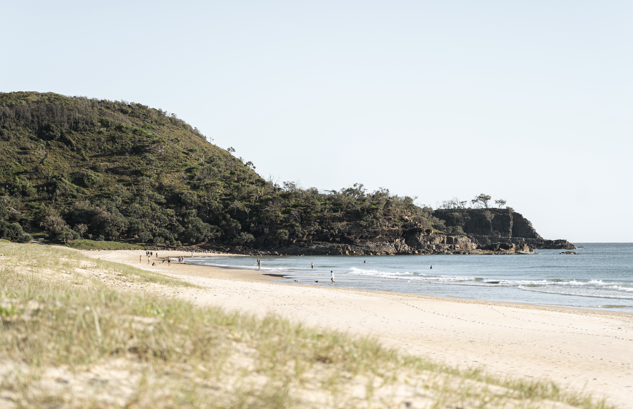 SUNSHINE BEACH – SUBURB IN FOCUS