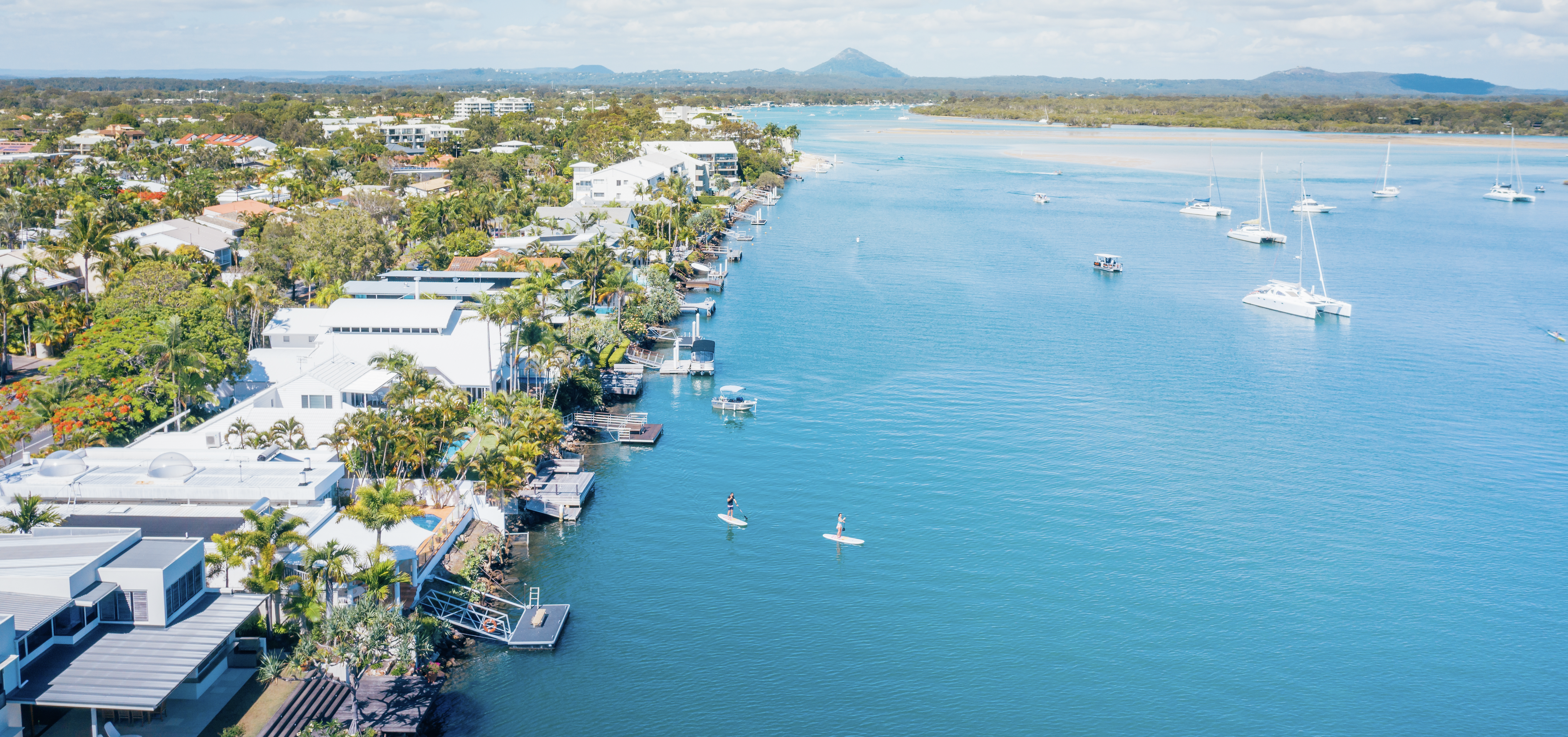 NOOSAVILLE – SUBURB IN FOCUS