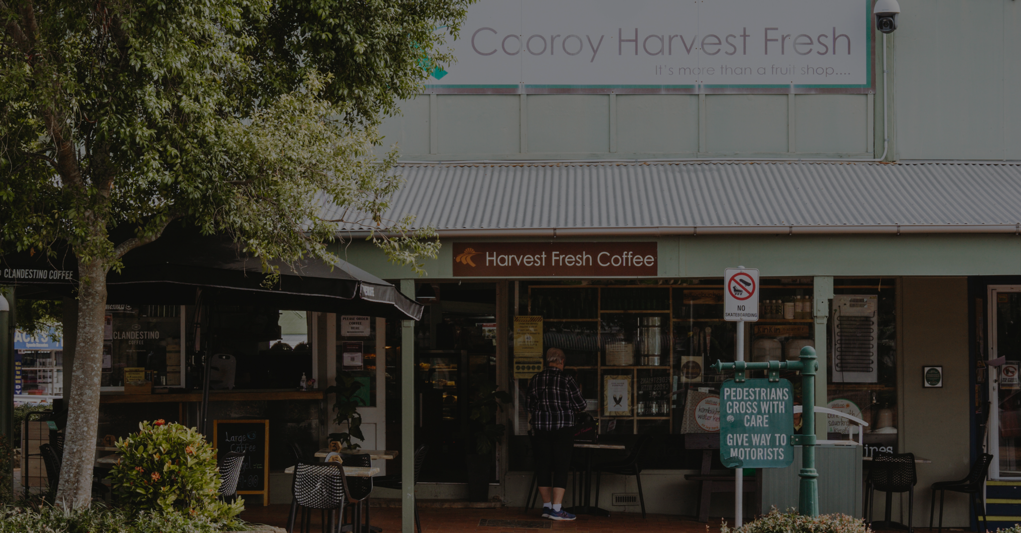Cooroy – Suburb in Focus