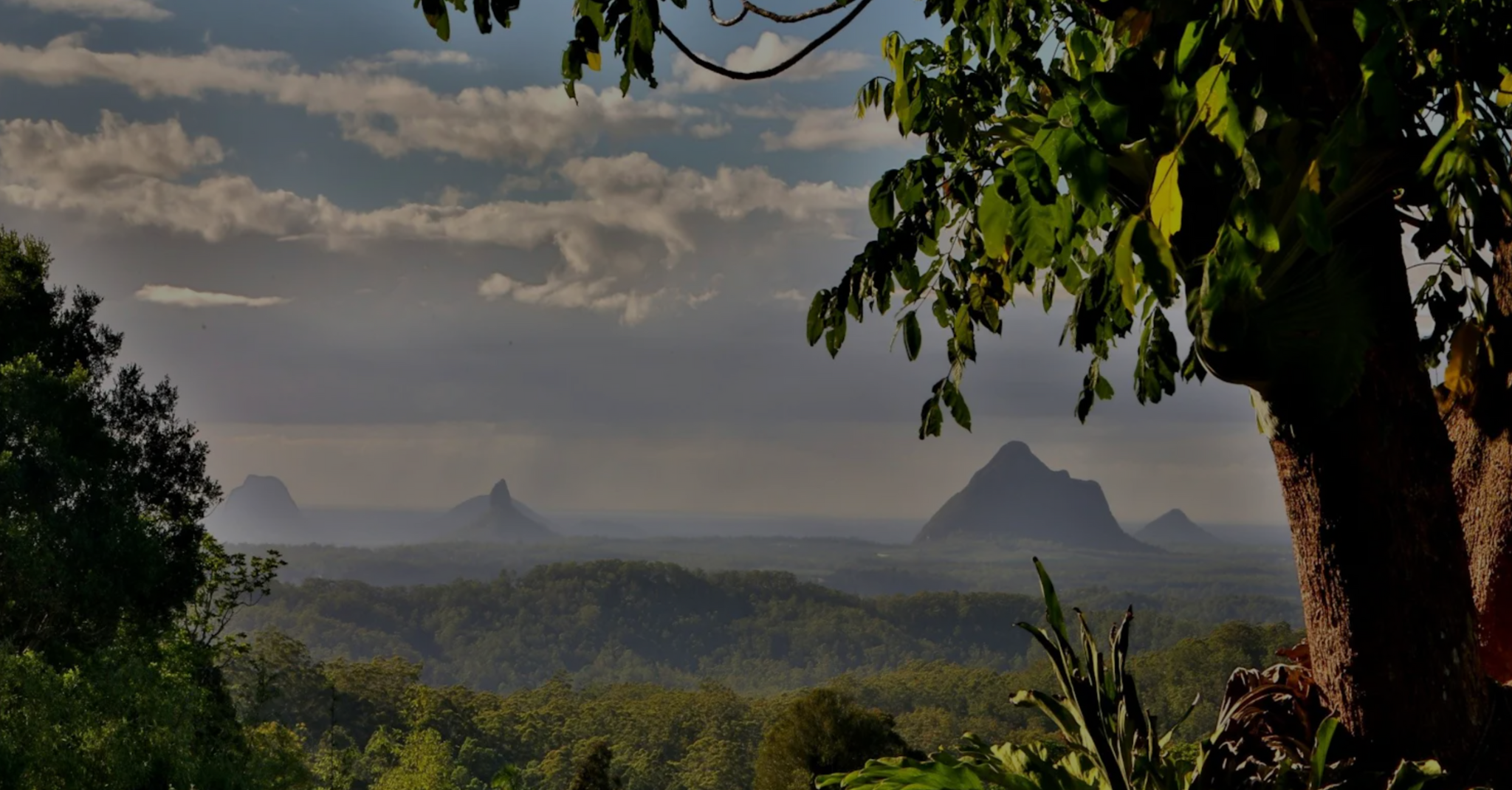 Maleny – Suburb in Focus
