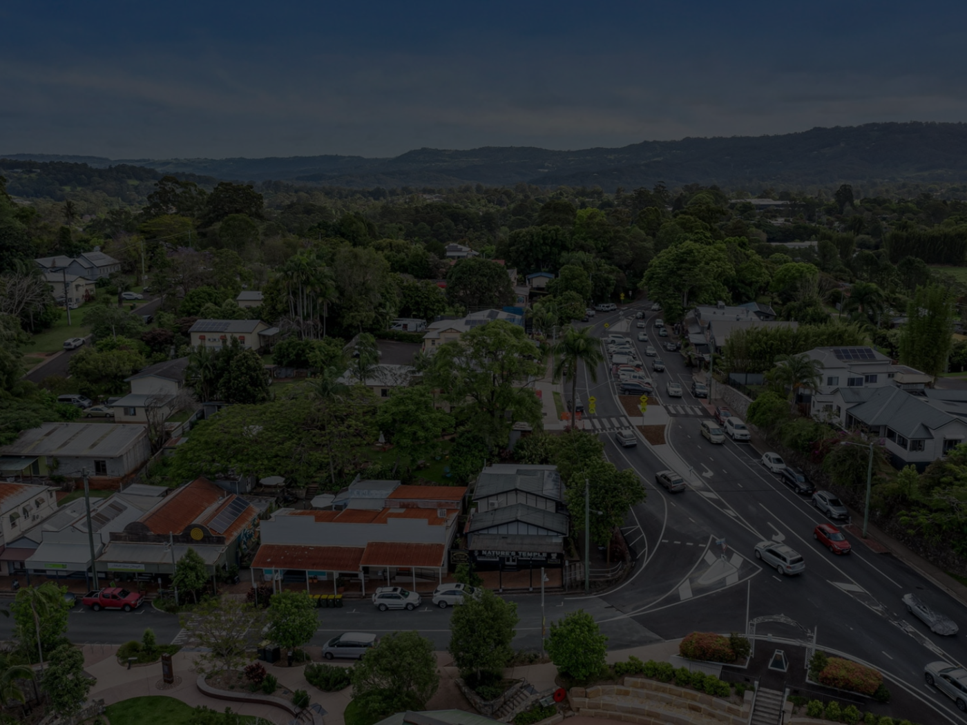 Suburb in Focus: Palmwoods