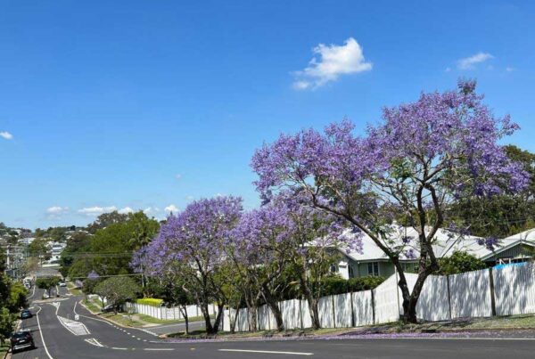 Buyers Agent Gordon Park Brisbane