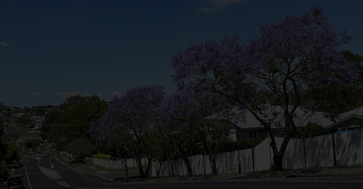 Suburb in Focus: Gordon Park