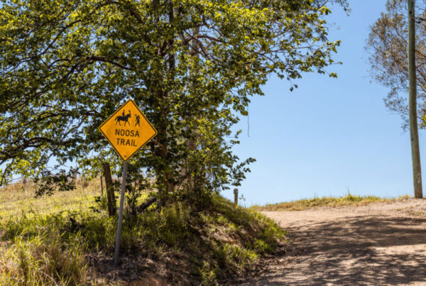 buyers agent kin kin